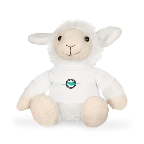 Plush Valentines Toy with CRC T-Shirt - Image 10