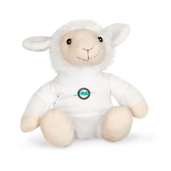 Plush Valentines Toy with CRC T-Shirt - Image 11